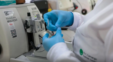 Nova lei amplia preven&ccedil;&atilde;o e tratamento do c&acirc;ncer no SUS em todo o Pa&iacute;s