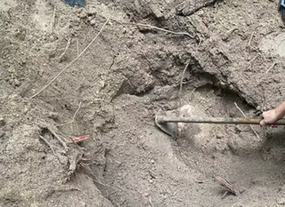 M&atilde;e nega envolvimento de jovens assassinados no MT com fac&ccedil;&atilde;o e cobra respostas