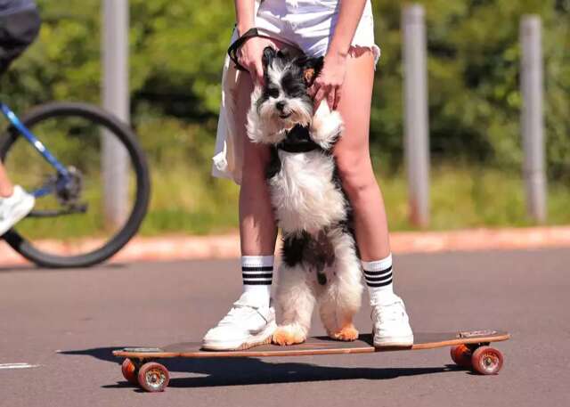 Cachorro Luke anda de skate e vira sensa&ccedil;&atilde;o no Parque dos Poderes 