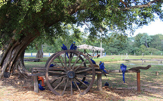 No ritmo das &aacute;guas, Corumb&aacute; &eacute; op&ccedil;&atilde;o para escapar da rotina no feriado