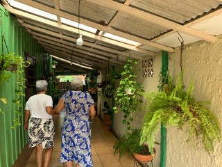 Há 66 anos, casa de madeira é relíquia e a paixão da Dona Nina Há 66 anos, casa de madeira é relíquia e a paixão da Dona Nina