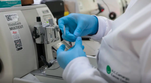 Nova lei amplia preven&ccedil;&atilde;o e tratamento do c&acirc;ncer no SUS em todo o Pa&iacute;s