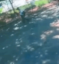 Preso por assassinato e agress&otilde;es, &ldquo;Neguinho&rdquo; matou morador de rua em 2025