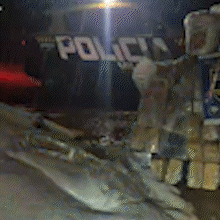 Carreta que tombou em rodovia carregava coca&iacute;na avaliada em R$ 13,5 milh&otilde;es