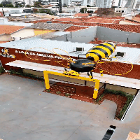 Abelha de uma tonelada e 6 metros &eacute; mascote no telhado de loja 