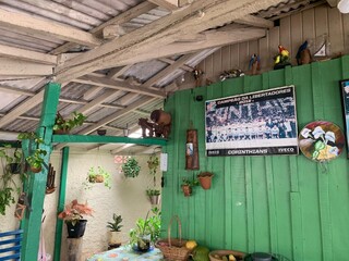 Há 66 anos, casa de madeira é relíquia e a paixão da Dona Nina Há 66 anos, casa de madeira é relíquia e a paixão da Dona Nina