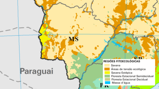 MS vai além de Cerrado e Pantanal: mapa revela mosaico de vegetações MS vai além de Cerrado e Pantanal: mapa revela mosaico de vegetações