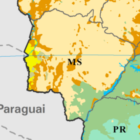 MS vai al&eacute;m de Cerrado e Pantanal: mapa revela mosaico de vegeta&ccedil;&otilde;es