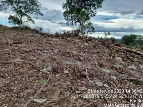 Inqu&eacute;rito apura derrubada de mata nativa e falhas ambientais em Bonito