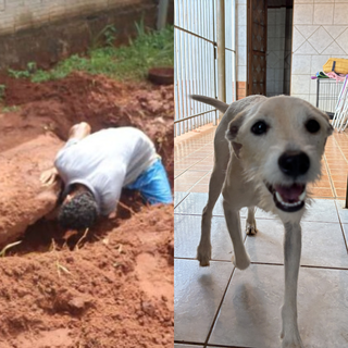 Não pode adotar? Apadrinhe um "anjo" que sobreviveu a violência em Campo Grande Não pode adotar? Apadrinhe um "anjo" que sobreviveu a violência em Campo Grande