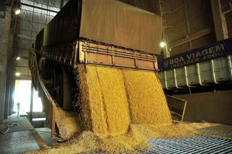 Caminhoneiro &eacute; condenado a pagar R$ 87 mil por &ldquo;perder&rdquo; carga de soja