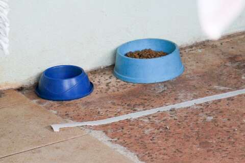 Campo Grande autoriza doa&ccedil;&atilde;o de ra&ccedil;&atilde;o como entrada em eventos p&uacute;blicos