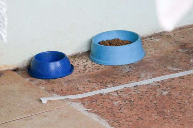 Campo Grande autoriza doa&ccedil;&atilde;o de ra&ccedil;&atilde;o como entrada em eventos p&uacute;blicos