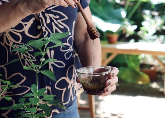 Mel com manjeric&atilde;o de maracuj&aacute; &eacute; receita simples e cheia de sabor