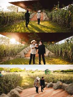 Arquiteta de MS faz palco e cen&aacute;rio de DVD de Chit&atilde;ozinho e Xoror&oacute;