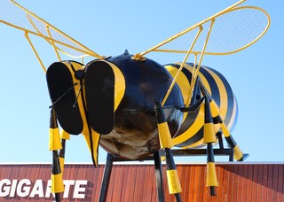 Abelha de uma tonelada e 6 metros é mascote no telhado de loja Abelha de uma tonelada e 6 metros é mascote no telhado de loja