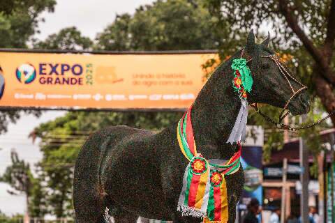 Capital vira vitrine nacional do Cavalo Crioulo em seletiva rumo &agrave; Expointer