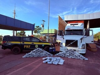 Motorista é preso com carregamento de skunk em transportadora da Capital Motorista é preso com carregamento de skunk em transportadora da Capital