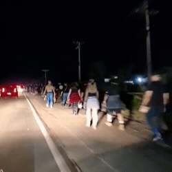 Procon abre investiga&ccedil;&atilde;o ap&oacute;s 17 queixas sobre show do Guns em Campo Grande