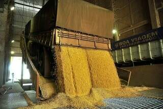 Caminhoneiro &eacute; condenado a pagar R$ 87 mil por &ldquo;perder&rdquo; carga de soja