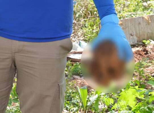 Agente de endemias encontra cr&acirc;nio durante vistoria em terreno baldio