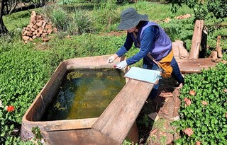 Burocracia emperra R$ 100 milh&otilde;es que poderiam evitar crise da chikungunya