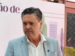 Árvores são responsáveis por 80% dos problemas de energia na Capital Árvores são responsáveis por 80% dos problemas de energia na Capital