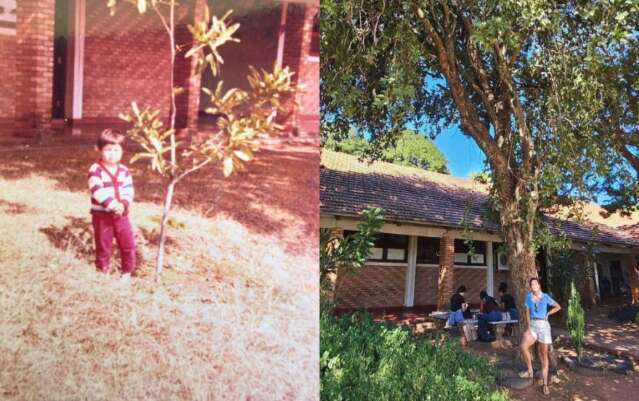 Reencontro com árvore plantada pelo pai emociona filha após 20 anos