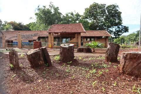 Fechado para reforma, Horto Florestal tem cerca de 100 &aacute;rvores cortadas