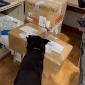 Choque apreende carregamento de maconha em dep&oacute;sito de vans na Capital