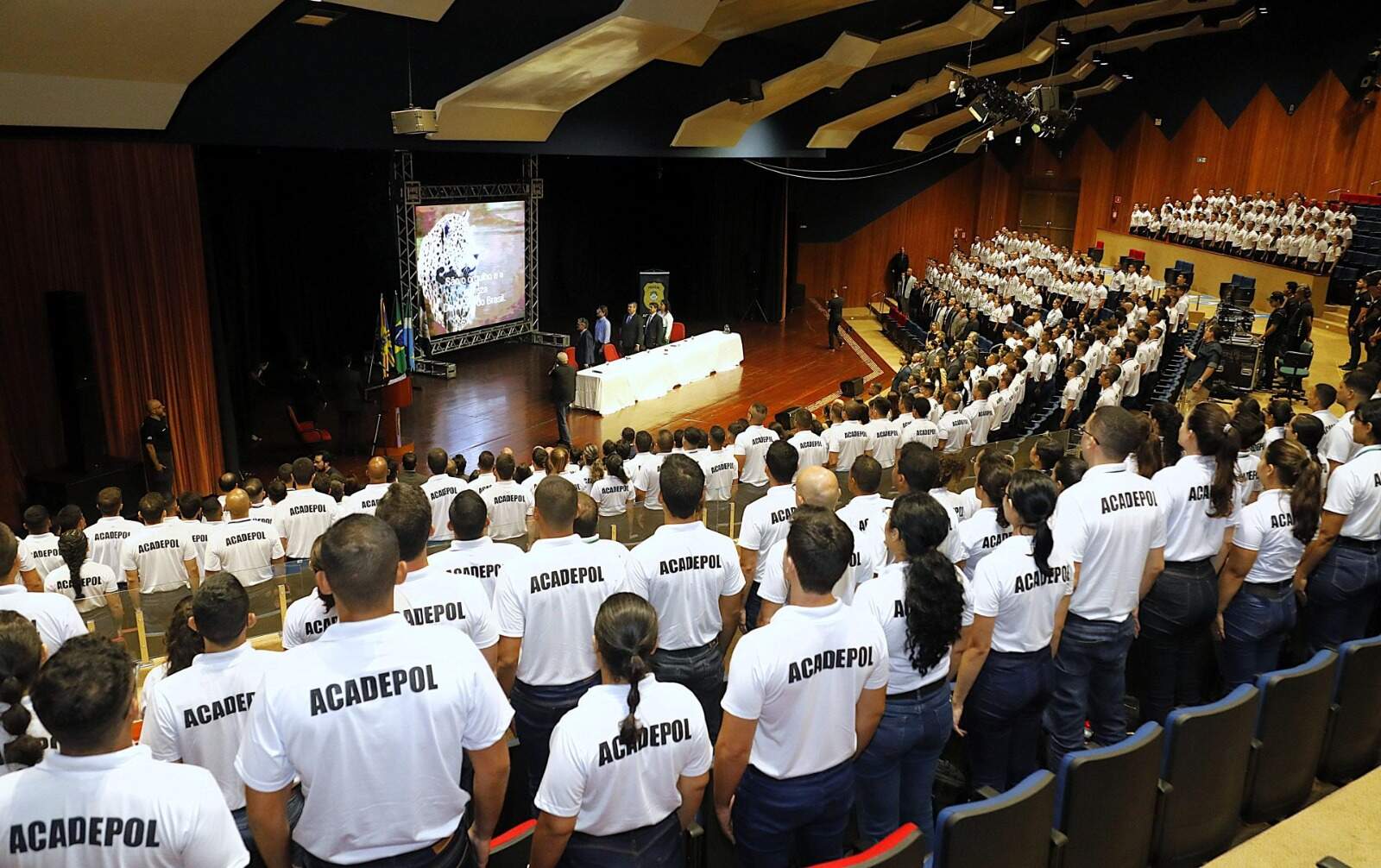 TJ avaliará se é razoável exigir exame físico de candidato a escrivão