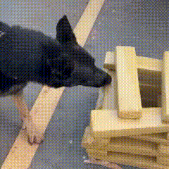 Fiscaliza&ccedil;&atilde;o de mercadoria sem nota levou ao encontro de droga em transportadora