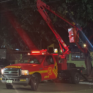 Nem bombeiros escapam de ataque de abelhas que deixou mãe e 2 crianças feridas Nem bombeiros escapam de ataque de abelhas que deixou mãe e 2 crianças feridas