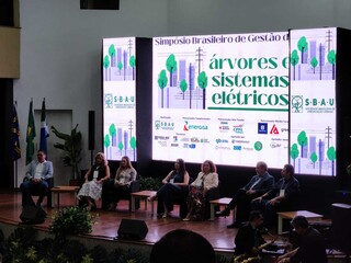 Árvores são responsáveis por 80% dos problemas de energia na Capital Árvores são responsáveis por 80% dos problemas de energia na Capital