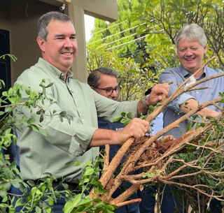 Em ato simb&oacute;lico, Riedel arranca murta do Parque de Exposi&ccedil;&atilde;o