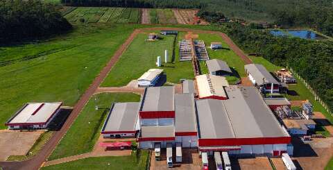 Justi&ccedil;a autoriza Boibras a buscar novos parceiros para planta frigor&iacute;fica em MS