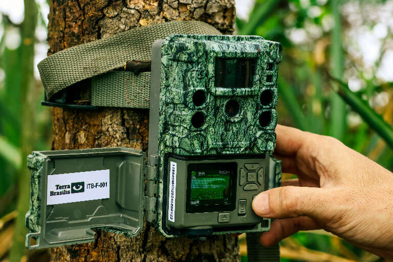 Foto: Alicce Rodrigues