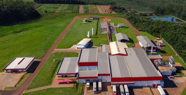 Justi&ccedil;a autoriza Boibras a buscar novos parceiros para planta frigor&iacute;fica em MS