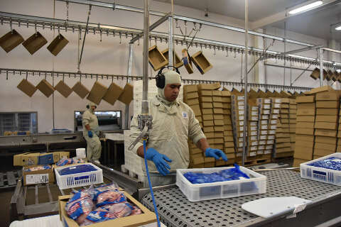 Exporta&ccedil;&otilde;es de produtos industriais somam US$ 580 milh&otilde;es em MS