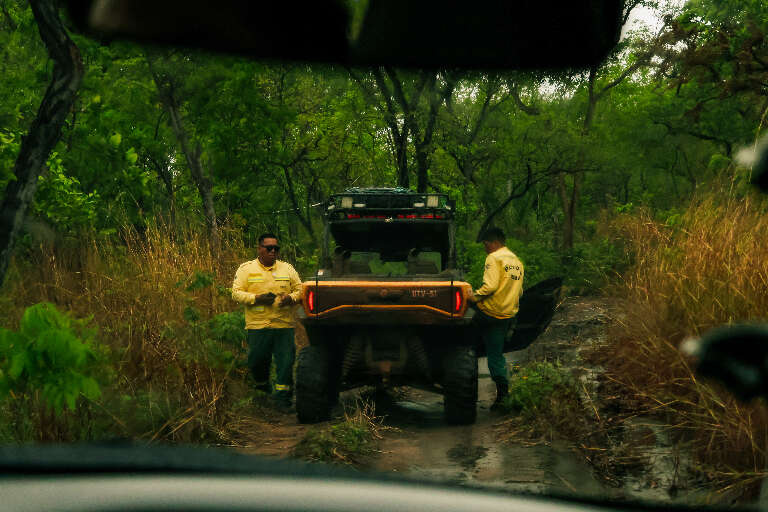 Foto: Alicce Rodrigues