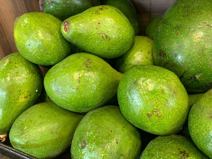 Brasil amplia exporta&ccedil;&otilde;es agropecu&aacute;rias com novos mercados