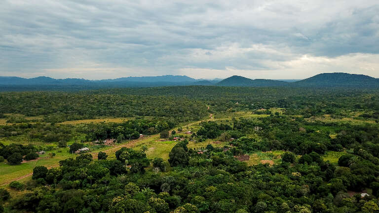 Foto: Alicce Rodrigues