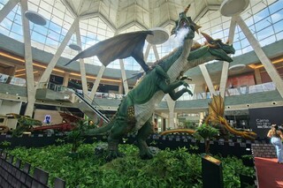 Feriado no Bosque dos Ip&ecirc;s tem Ex&eacute;rcito e drag&otilde;es gigantes