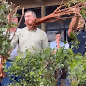 Em ato simb&oacute;lico, Riedel arranca murta do Parque de Exposi&ccedil;&atilde;o