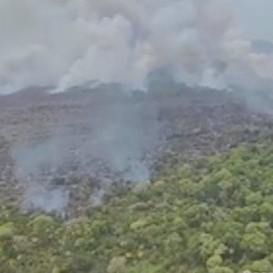 Opera&ccedil;&atilde;o da PF busca suspeitos de inc&ecirc;ndio em &aacute;rea protegida no Pantanal