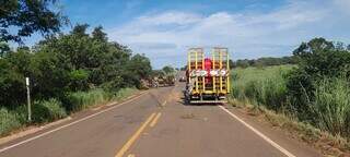 &Ocirc;nibus tomba na contram&atilde;o ap&oacute;s bater em carreta em rodovia
