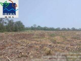 Investiga&ccedil;&atilde;o apura dano ambiental em &aacute;rea protegida no munic&iacute;pio de Maracaju