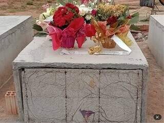 Filha revive luto ap&oacute;s viola&ccedil;&atilde;o de t&uacute;mulo; MS teve 17 casos em 5 anos