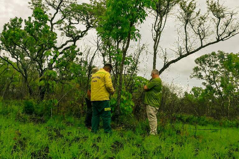 Foto: Alicce Rodrigues