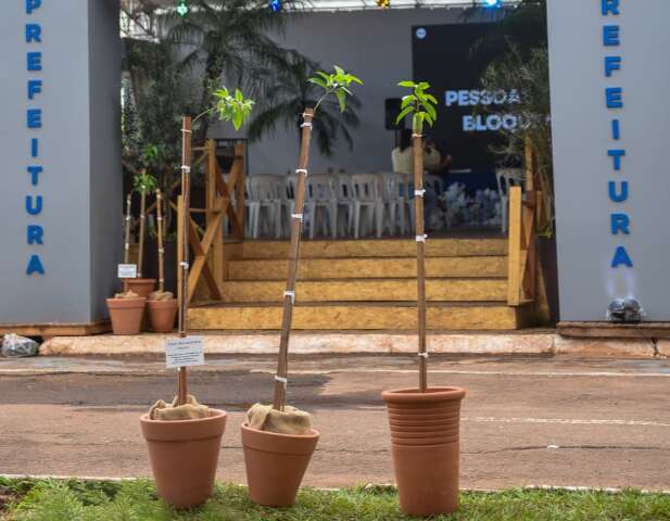 Prefeitura leva &agrave; Expogrande projeto de clonagem de figueiras hist&oacute;ricas